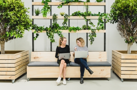 One of the many common areas