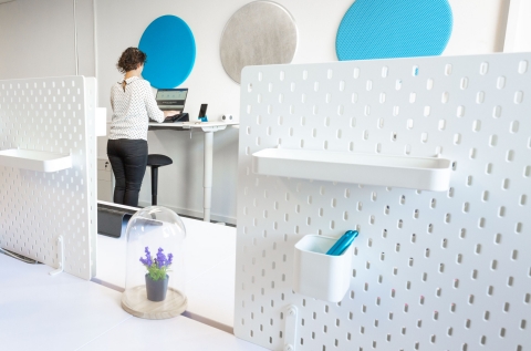 Sit Stand Desks
