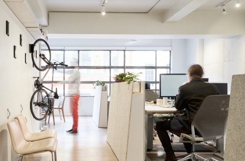 Studio and Bike Store