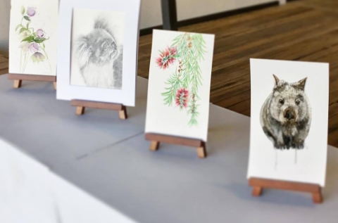 Display in window on raised platform