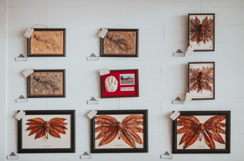 Adjustable professional hanging system