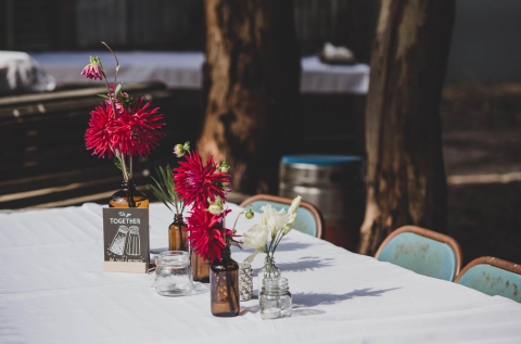 Image by Holly Engelhardt