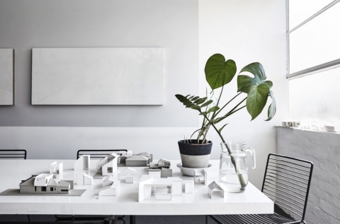 Shared meeting table + plants + light