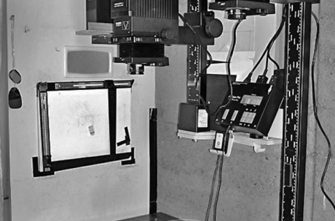 Black-and-white photographic print darkroom 