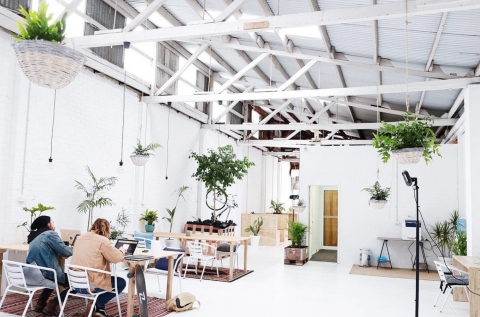 workspaces and meeting room