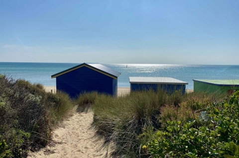 View from the backyard gate to your bay